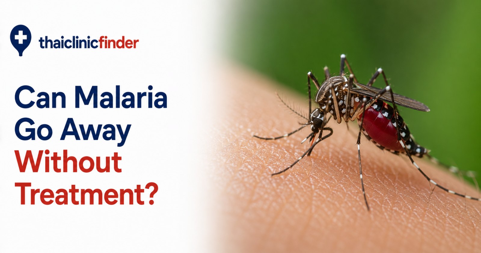 Can Malaria Go Away Without Treatment?
