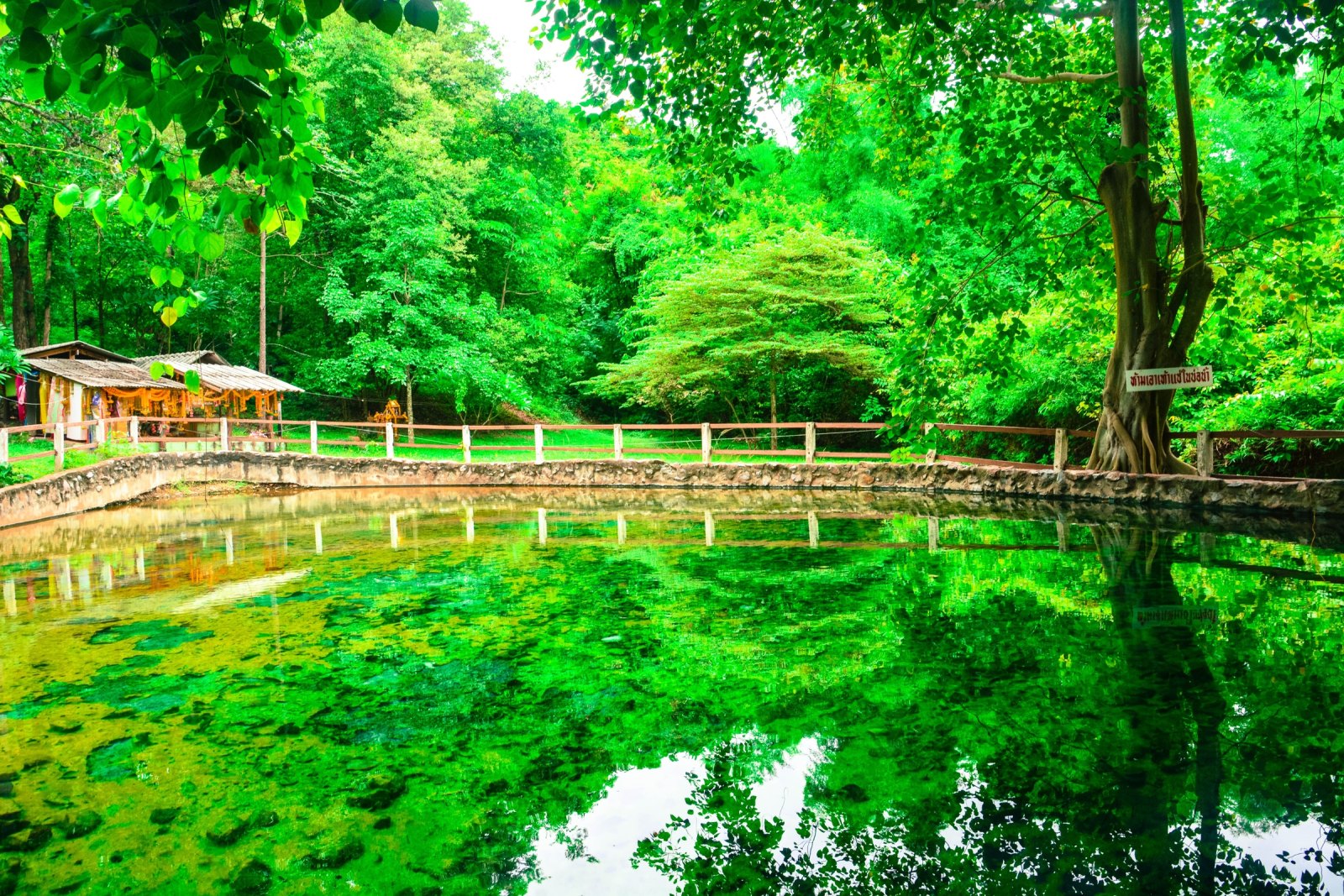 Nong Ya Plong Hot Spring